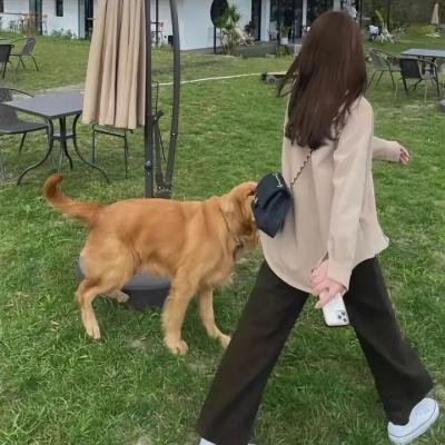 重生退婚妻第二季