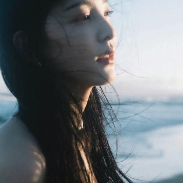 鲨鱼鳍
